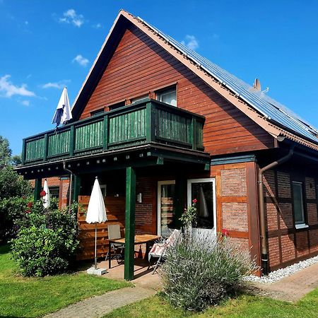 Molschow Ferienhaus Sasse Ferienwohnungen Mit Garten & Grill מראה חיצוני תמונה