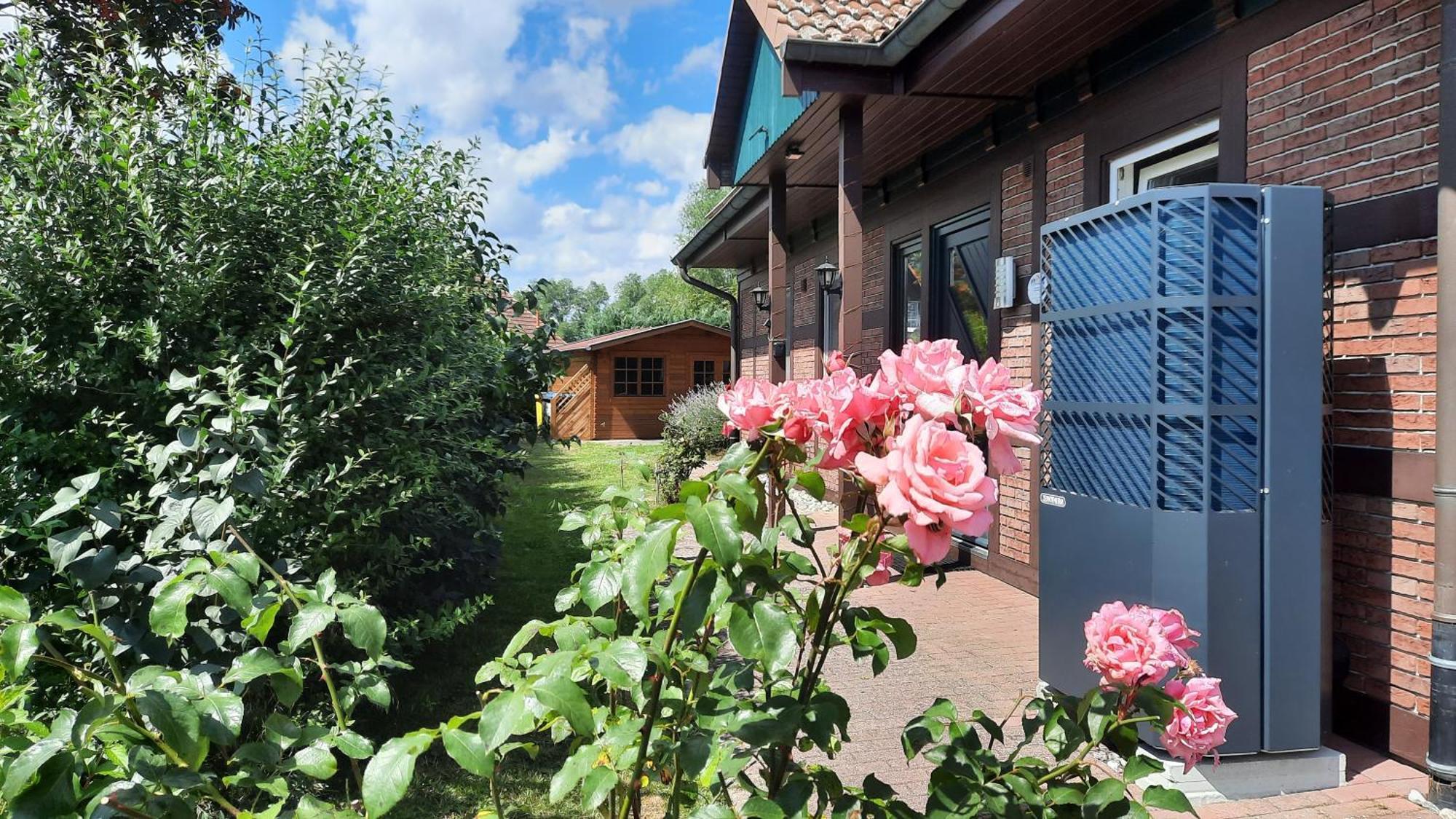Molschow Ferienhaus Sasse Ferienwohnungen Mit Garten & Grill מראה חיצוני תמונה